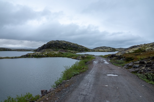 MURMANSK, Algues rejetées à la surface de l'océan, côte de l'océan Arctique, péninsule de Sredniy