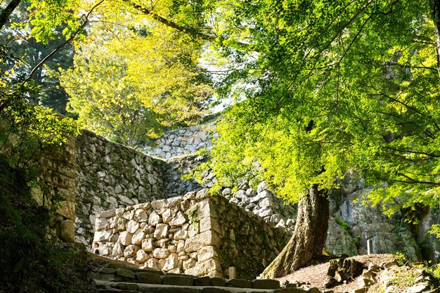 Murs du château de Bitchu Matsuyama à Okayama