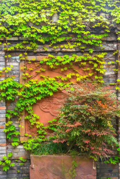 Les murs rouges sont couverts de plantes vertes