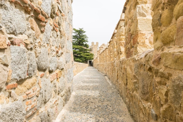 Murs de la ville d'Avila en Castille et León, Espagne. Cité médiévale fortifiée