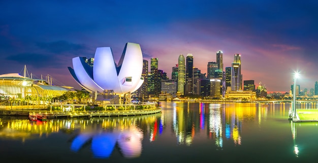 Musée d'art et des sciences de Singapour