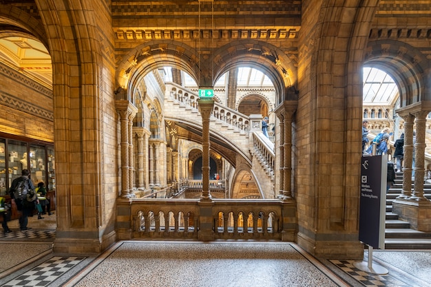 Musée D'histoire Naturelle De Londres