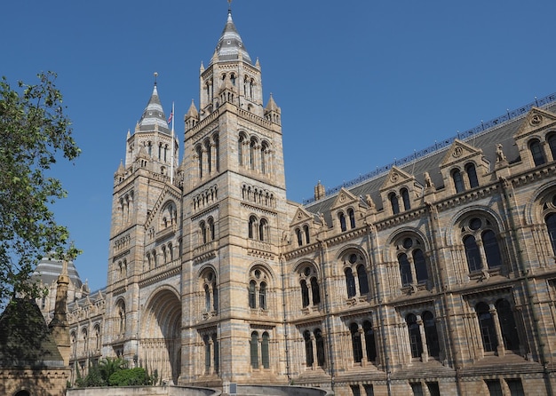 Musée d'histoire naturelle de Londres