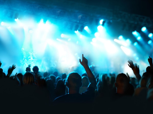 Musique dans la nuit sous les lumières Plan d'un fan regardant un concert en direct