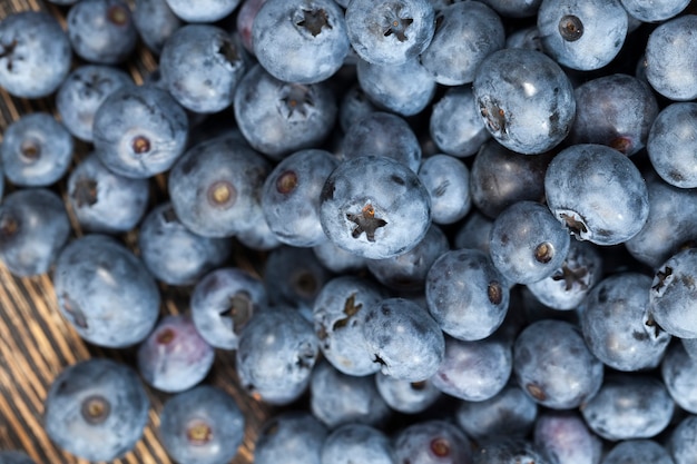 Myrtilles bleues fraîches