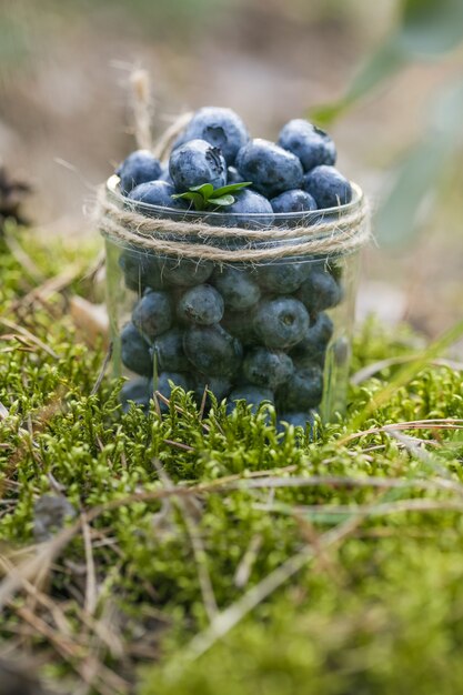 myrtilles dans un bocal en verre sur l'herbe verte Concept d'une alimentation saine myrtilles