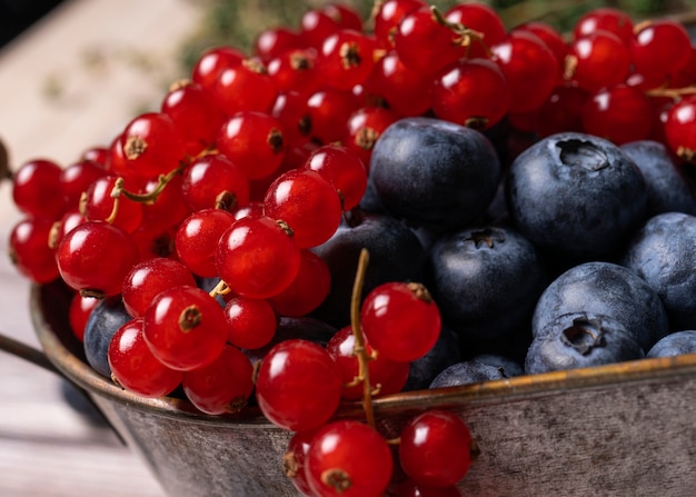 Myrtilles et groseilles rouges dans un bol