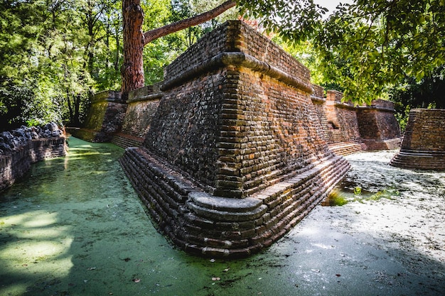 mystère, bâtiment en ruines sur un marais vert avec de l'eau