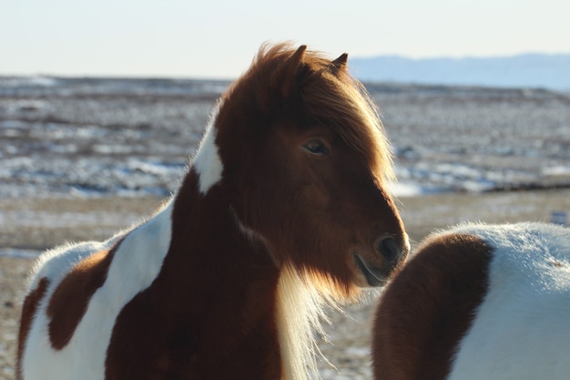 mystérieuse et belle Islande