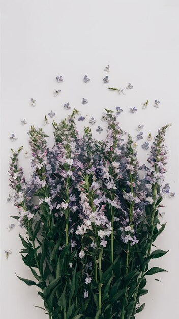 Photo n'oubliez pas que les fleurs créent une beauté délicate sur un fond blanc