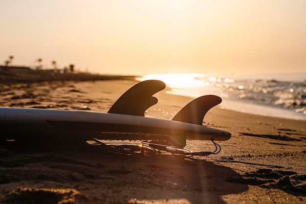 Des nageoires de planche de surf sur la rive de la plage à la lumière du lever du soleil