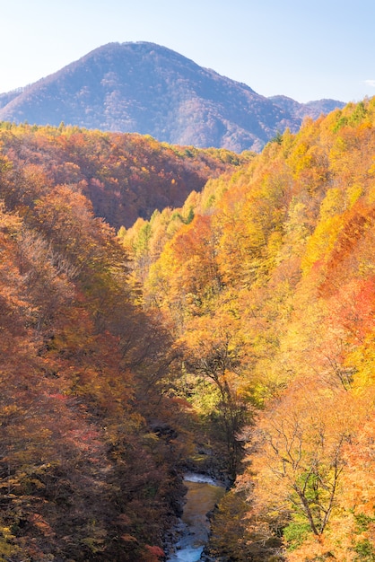 Nakatsugawa Fukushima Automne