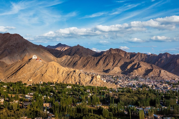 Photo namgyal tsemo gompa et le fort du ladakh en inde