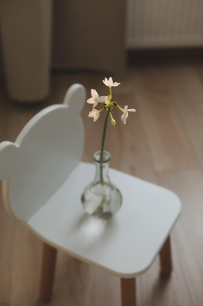 Narcisse jonquille fleurs de printemps sur la table sur un fond ensoleillé