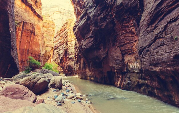 Narrows dans le parc national de Zion, Utah