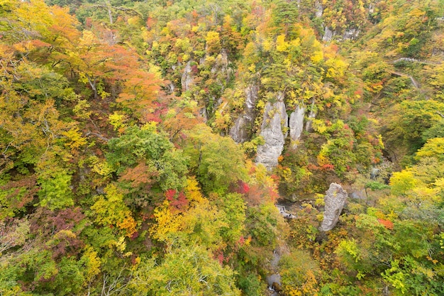 Naruko Gorge Feuilles d'automne à l'automne