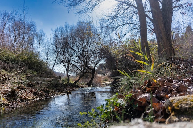 Naturaleza en Pozo Alcon, Jaén, Espagne