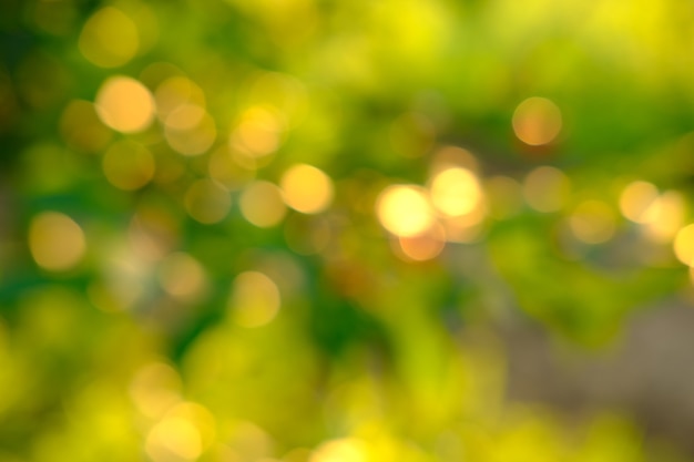 Nature abstrait vert et jaune or bokeh arrière-plan flou lumière du soleil brillant sur les feuilles sous