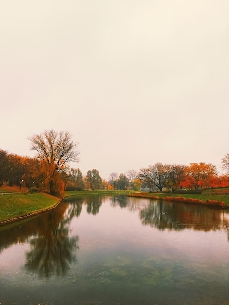 Nature d'automne dans les feuilles d'automne du parc et les arbres à l'extérieur