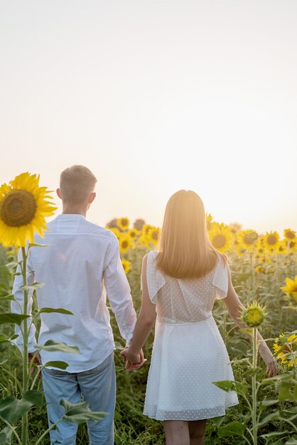 Nature d'automne. Jeune couple romantique marchant dans le champ de tournesols au coucher du soleil