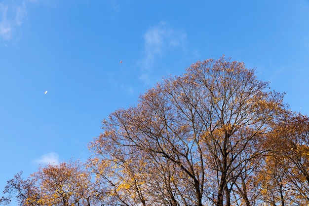 La nature en automne