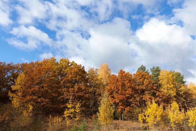 La nature en automne