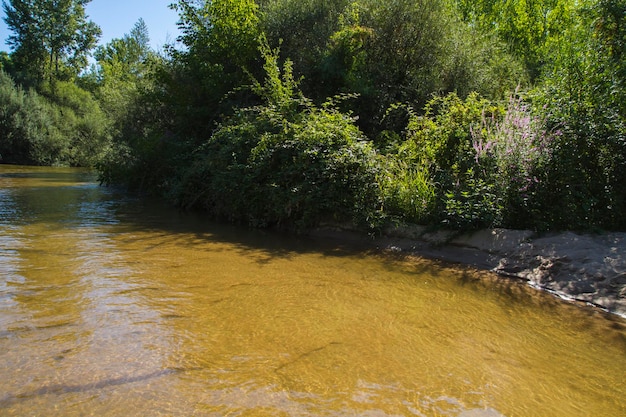 La nature, les berges de l'alberche à Tolède, Castilla La Mancha, Espagne