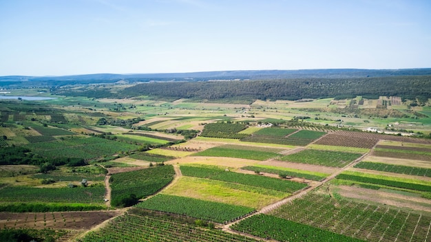 Nature avec champ vert et ciel bleu