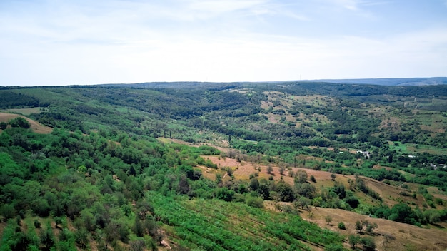 Nature avec champ vert et ciel bleu