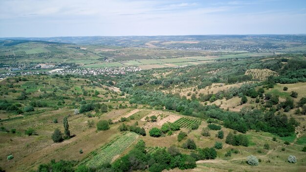 Nature avec champ vert et ciel bleu