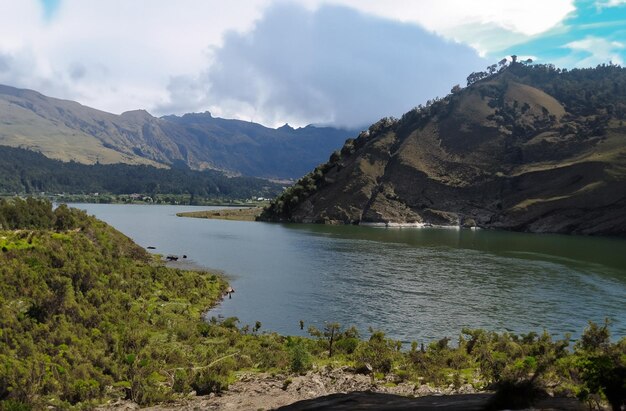 Nature colombienne