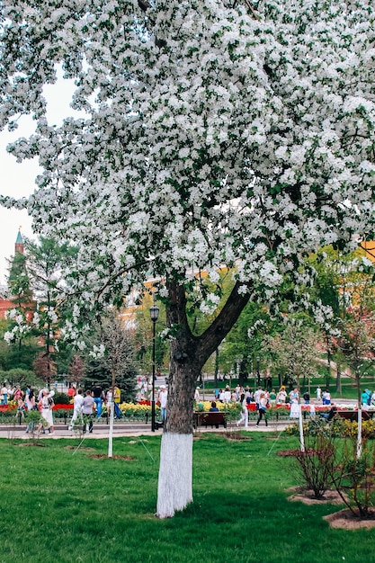 Nature curiosités architecture et vie de la ville de Moscou