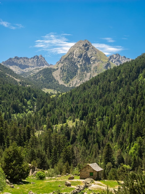 Nature dans le Parc National d'Aiguestortes dans les Pyrénées Catalogne Espagne