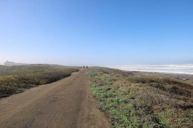 Nature dans les parcs de Mendocino en Californie