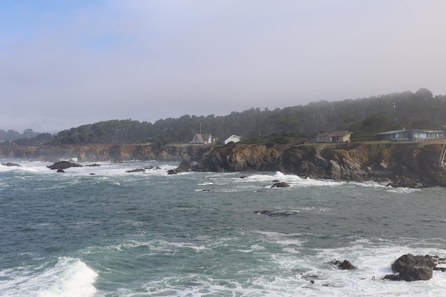 Nature dans les parcs de Mendocino en Californie