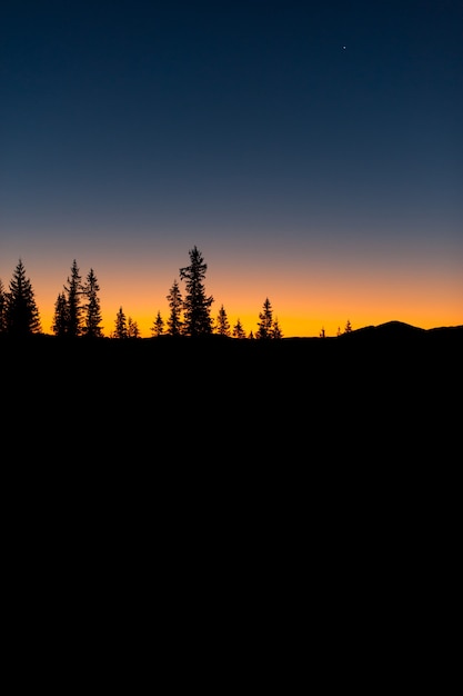 nature, forêt, montagnes et coucher de soleil