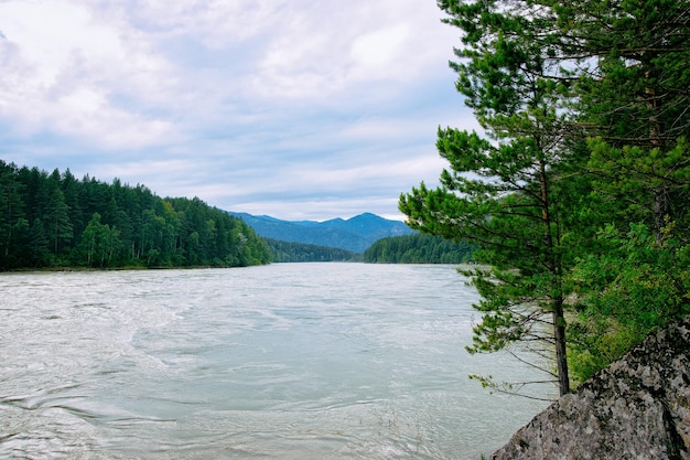 Nature froide des montagnes de l'Altaï et de la rivière Katun en Sibérie en Russie