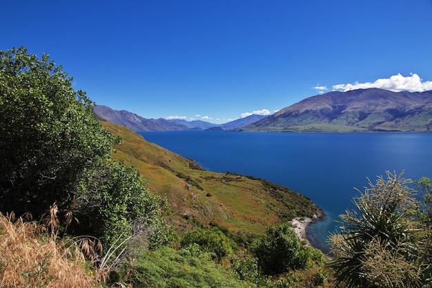 La nature de l'île du Sud en Nouvelle-Zélande.