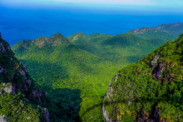 Nature de l'île de Langkawi en Malaisie Montagnes et jungle