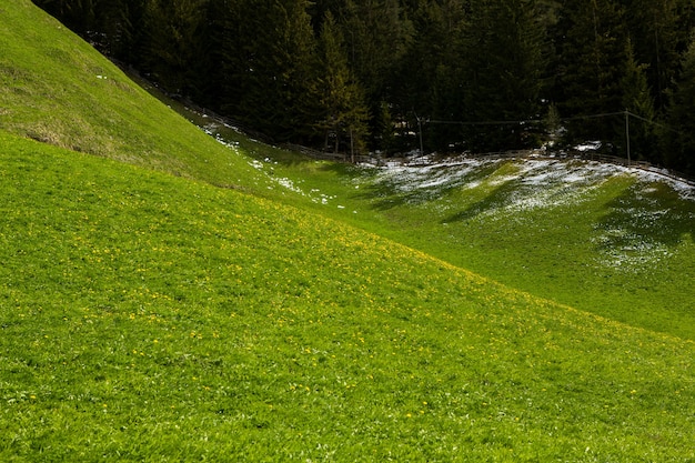 Nature incroyable dans les Alpes italiennes en été