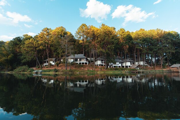 Nature lac et forêt Emplacement de camping, voyage nature