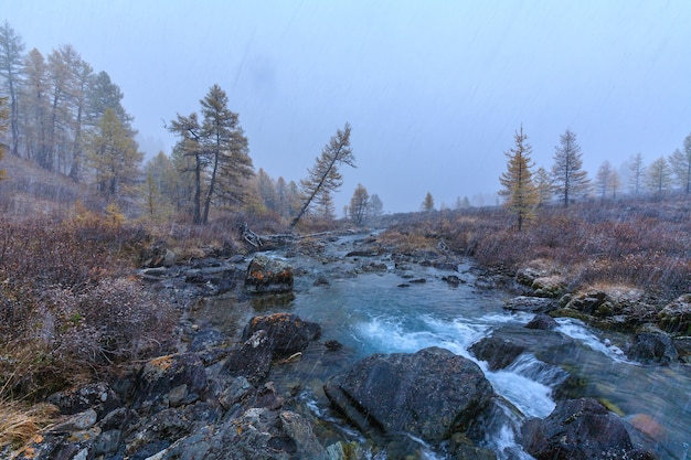 La nature des montagnes de l'Altaï en Russie