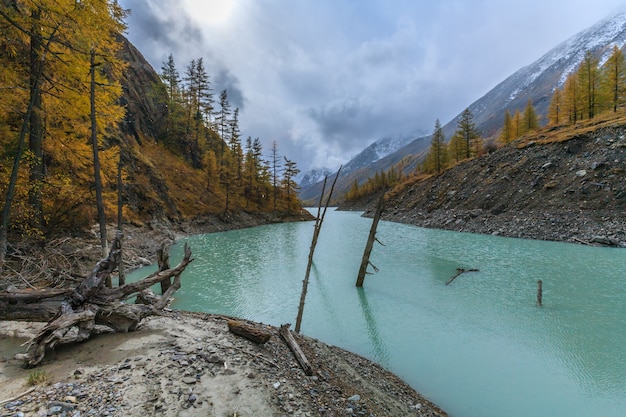 La nature des montagnes de l'Altaï en Russie