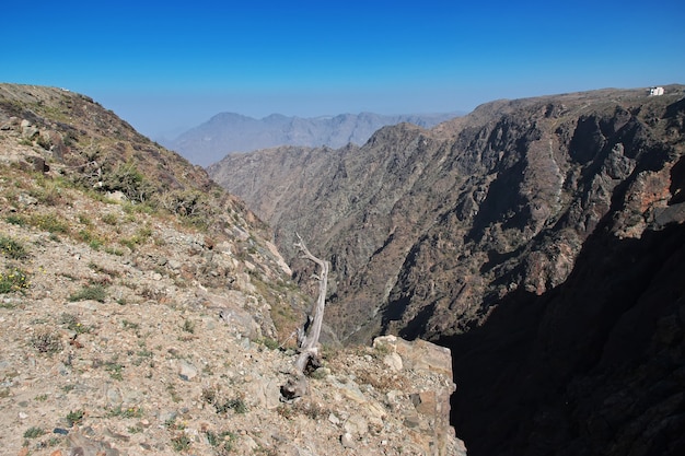 Nature des montagnes du Hejaz près de la ville de Taif dans la province de La Mecque en Arabie Saoudite