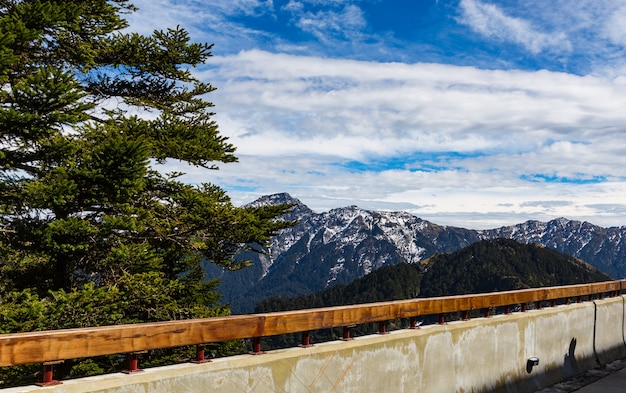 Nature, montagnes et forêts à Hehuanshan Taiwan