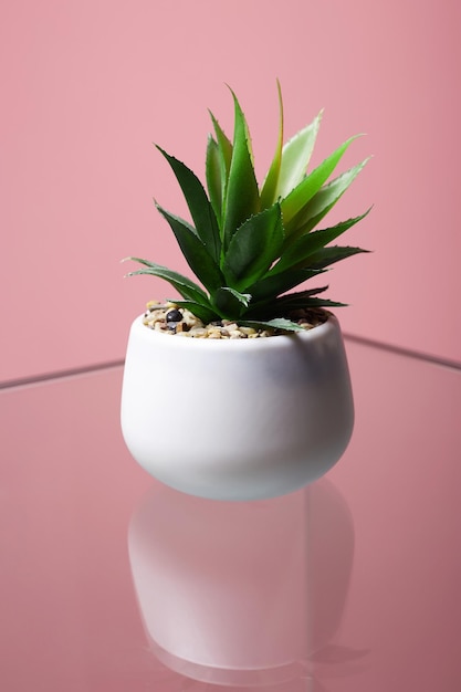 Nature morte abstraite Lonely Cactus sur table en verre