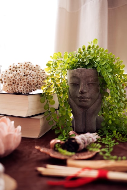 Photo nature morte au pot en ciment avec visage de femme et cheveux verts