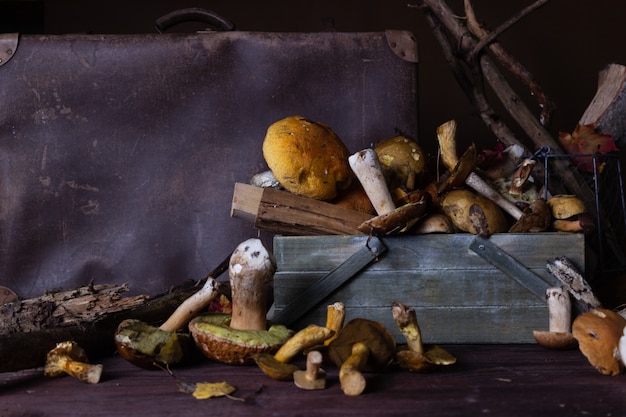 Nature morte d'automne aux champignons sauvages