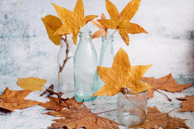 Nature morte d'automne avec des bouteilles en verre et des feuilles