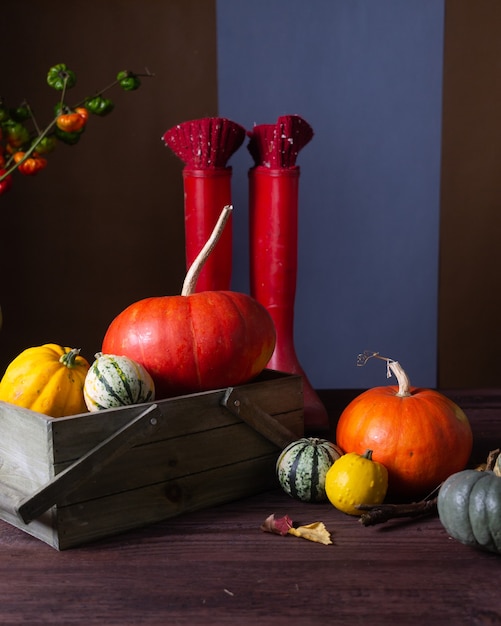 Photo nature morte d'automne avec des citrouilles et des bougies